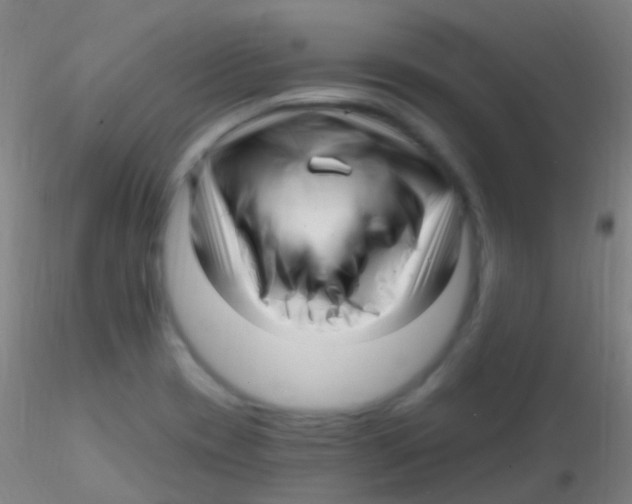 X0000115221417200911251521