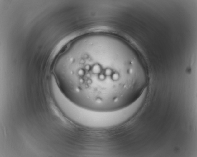 X0000115221418200911251521