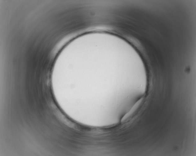 X0000115221420200911251521