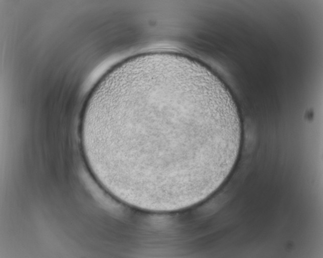 X0000115221422200911251521