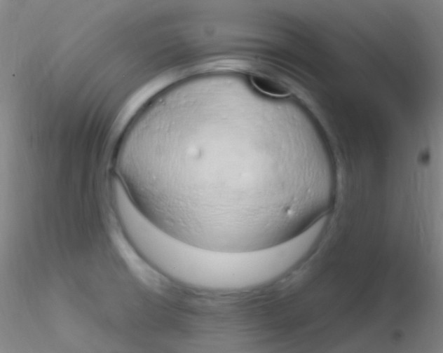X0000115221426200911251521