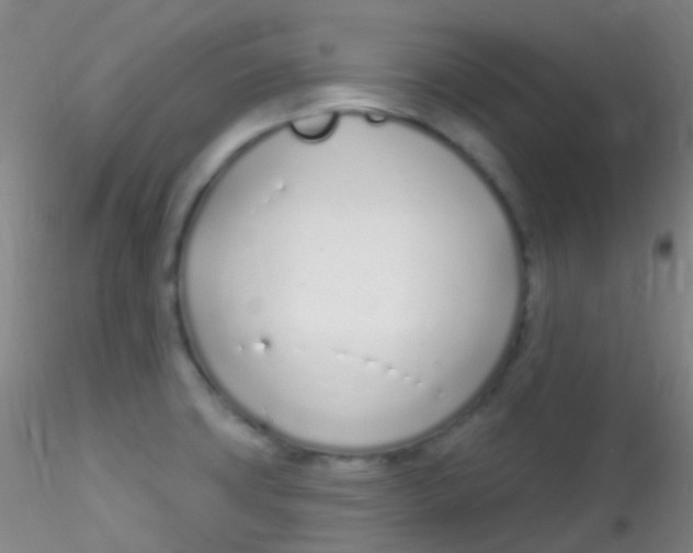 X0000115221427200911251521