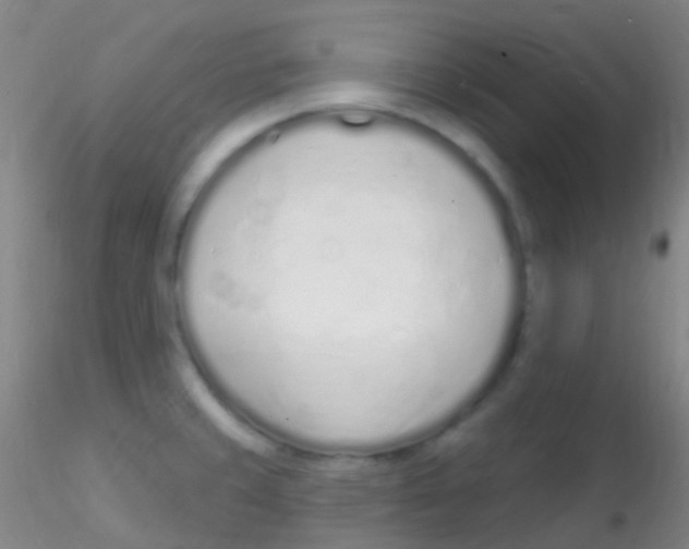 X0000115221429200911251521