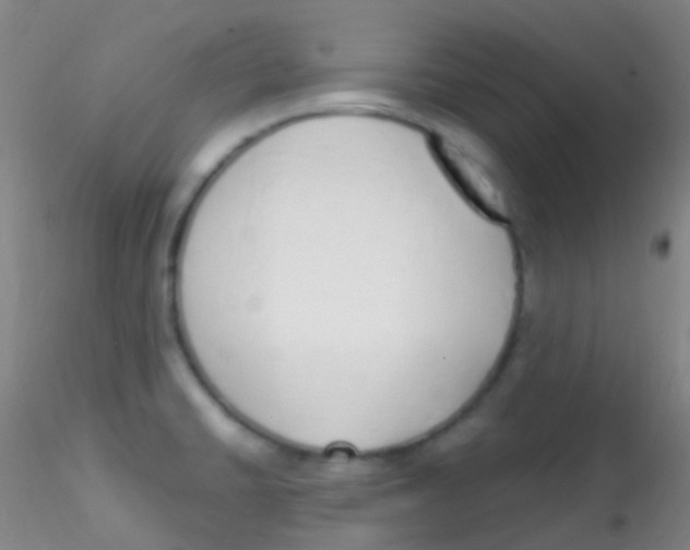 X0000115221430200911251521