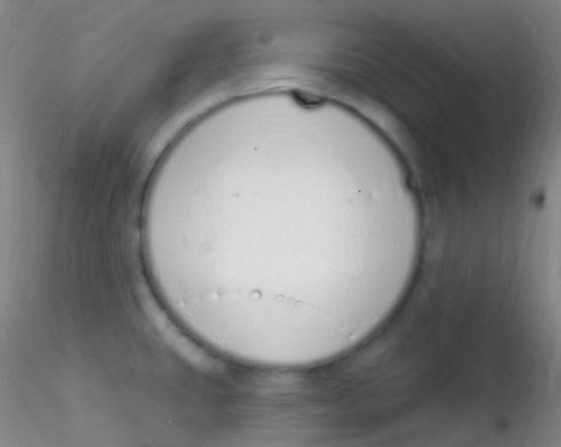 X0000115221431200911251521