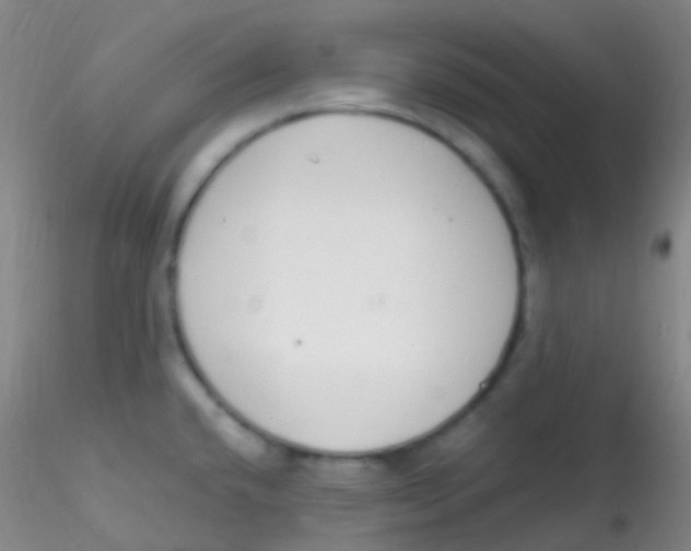 X0000115221432200911251521