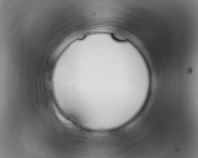 X0000115221433200911251521