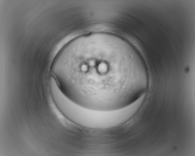 X0000115221434200911251521