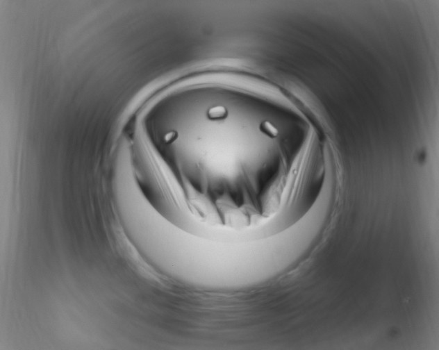 X0000115221436200911251521