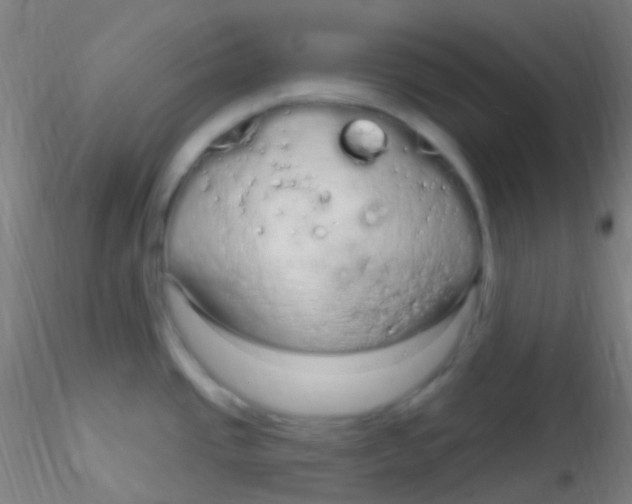 X0000115221437200911251521