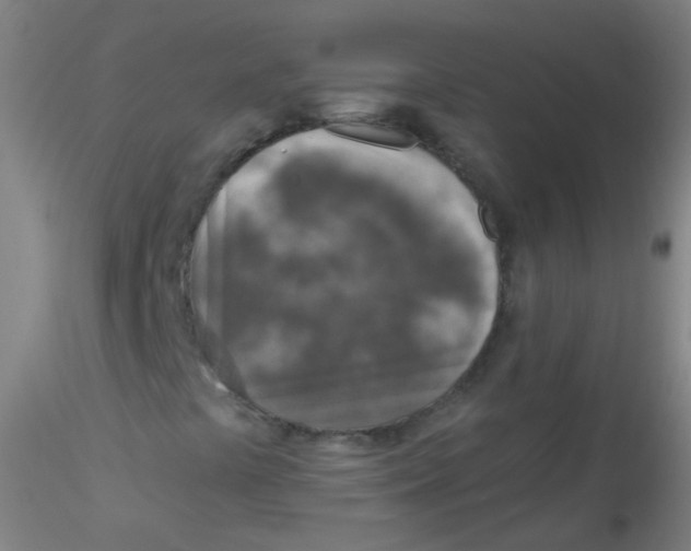 X0000115221441200911251520
