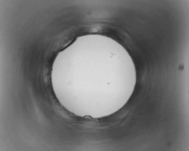 X0000115221442200911251520