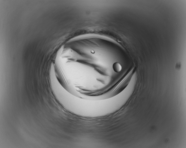 X0000115221444200911251520