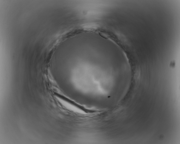 X0000115221445200911251520