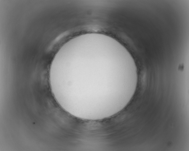 X0000115221446200911251520