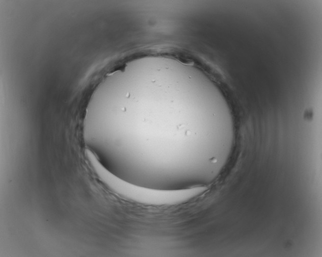 X0000115221447200911251520