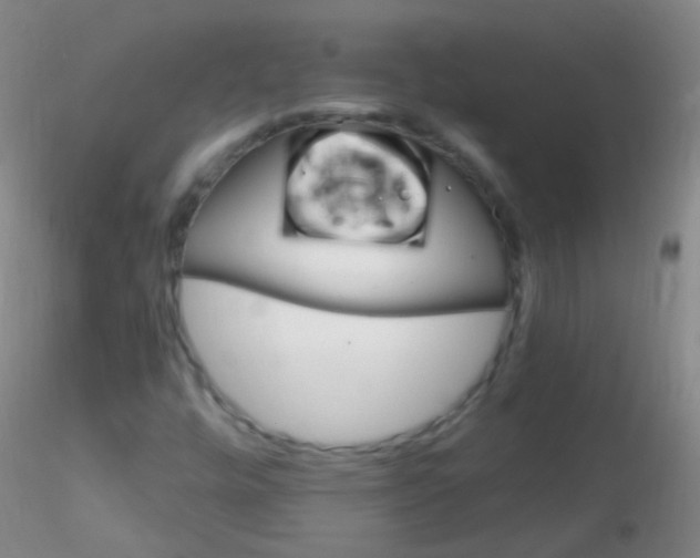 X0000115221448200911251520