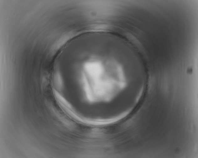 X0000115221449200911251520