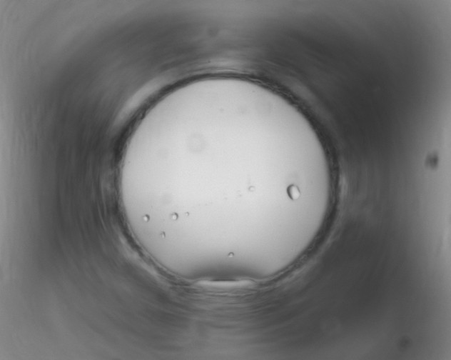 X0000115221450200911251520