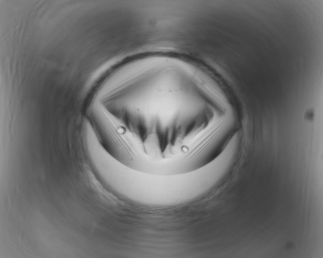 X0000115221452200911251520