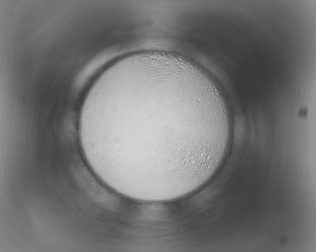 X0000115221454200911251520