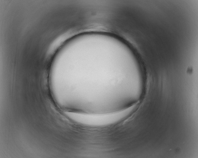 X0000115221455200911251520