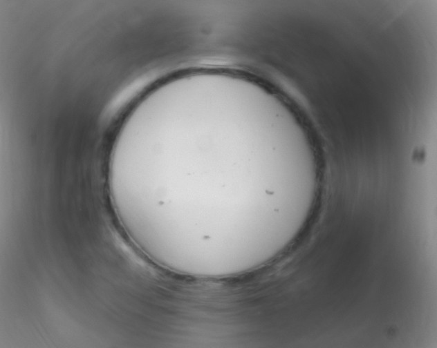 X0000115221456200911251520