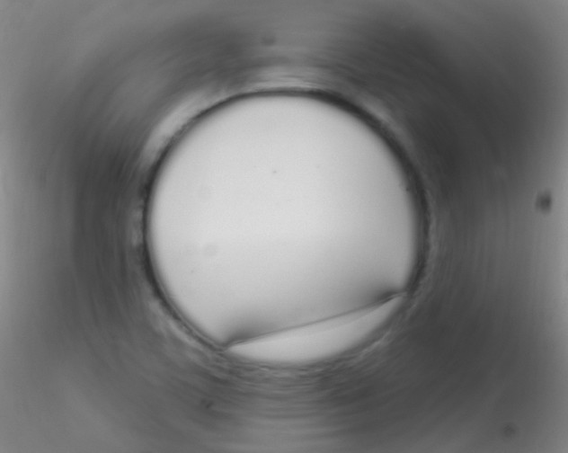 X0000115221459200911251520