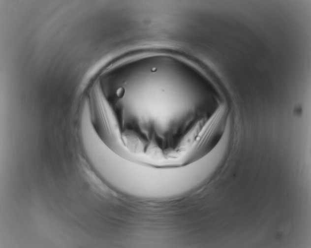 X0000115221460200911251520