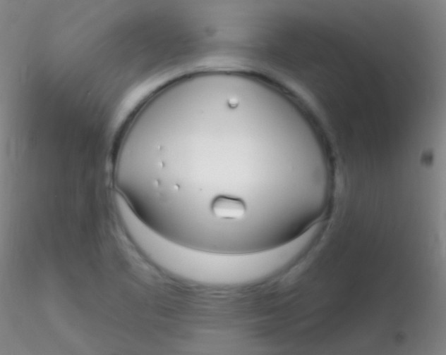 X0000115221461200911251520