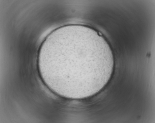 X0000115221463200911251520