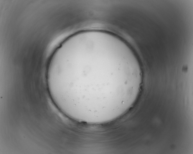 X0000115221464200911251520