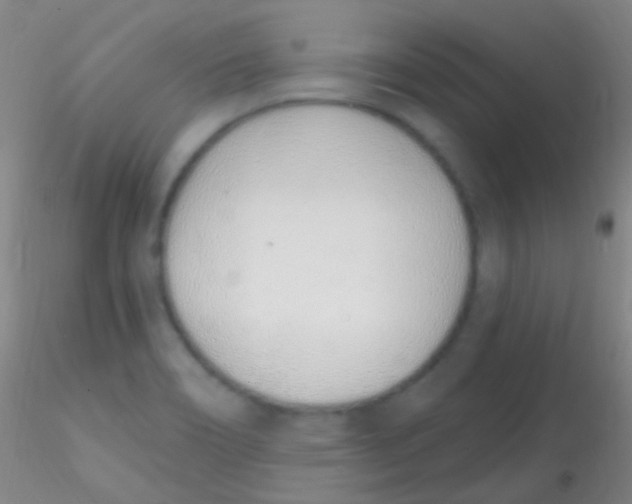 X0000115221466200911251520