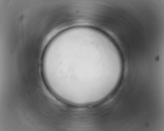 X0000115221467200911251520