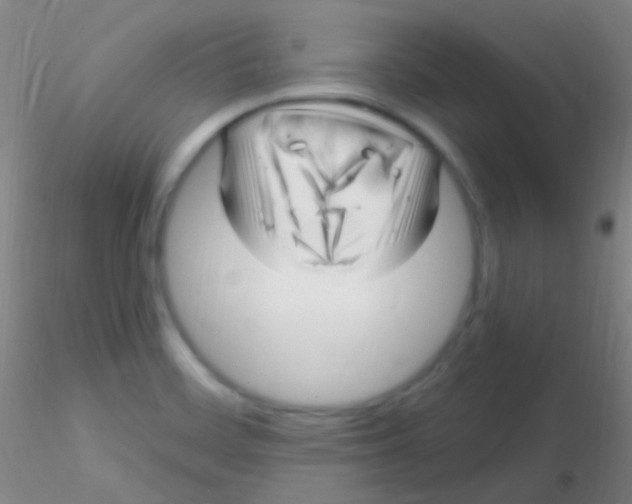 X0000115221468200911251520