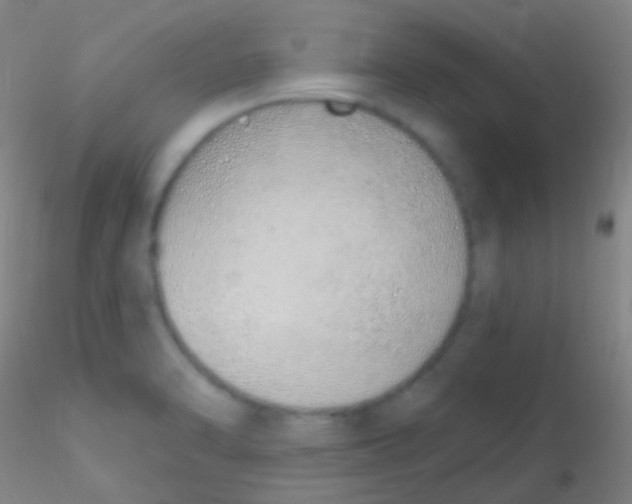 X0000115221470200911251520