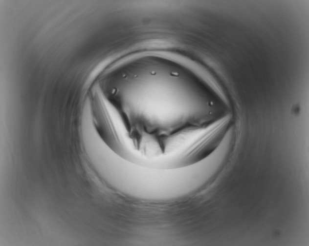 X0000115221473200911251520