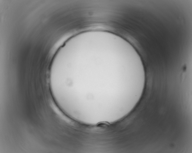 X0000115221476200911251520