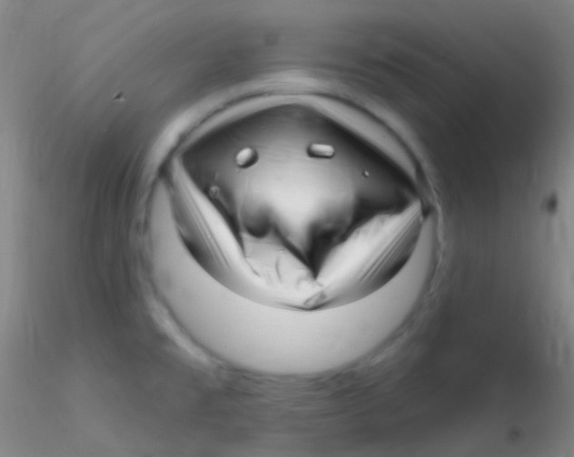 X0000115221477200911251520
