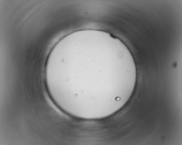 X0000115221479200911251520