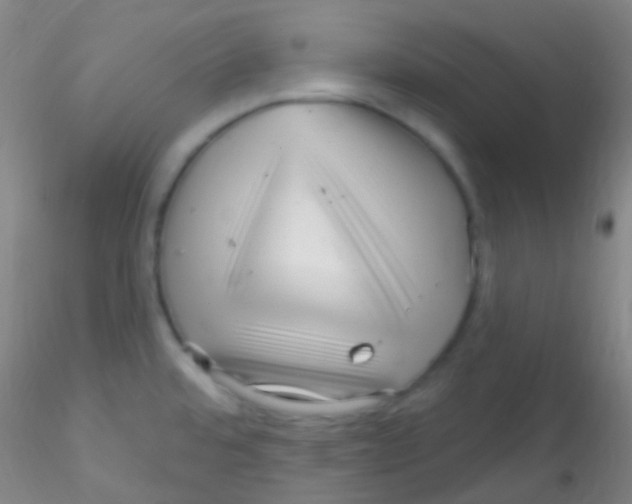 X0000115221480200911251520