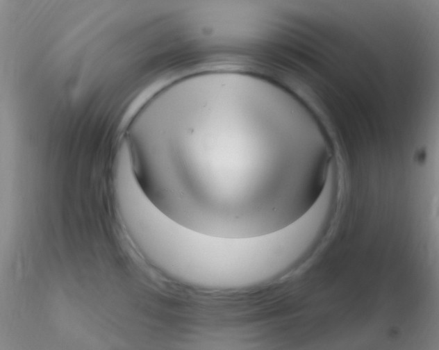 X0000115221481200911251520
