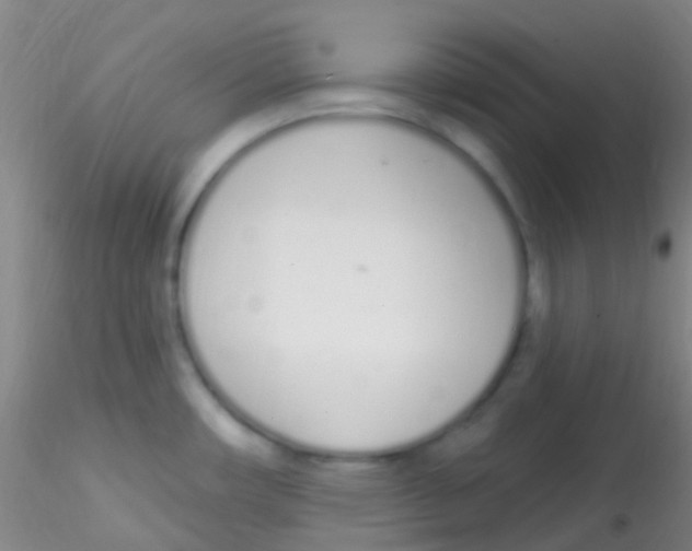 X0000115221482200911251519
