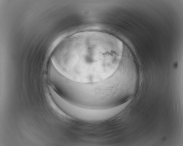 X0000115221483200911251519
