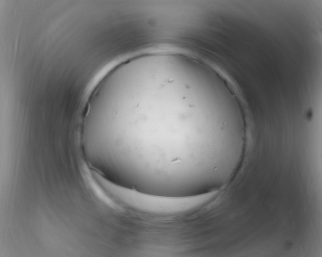 X0000115221484200911251519