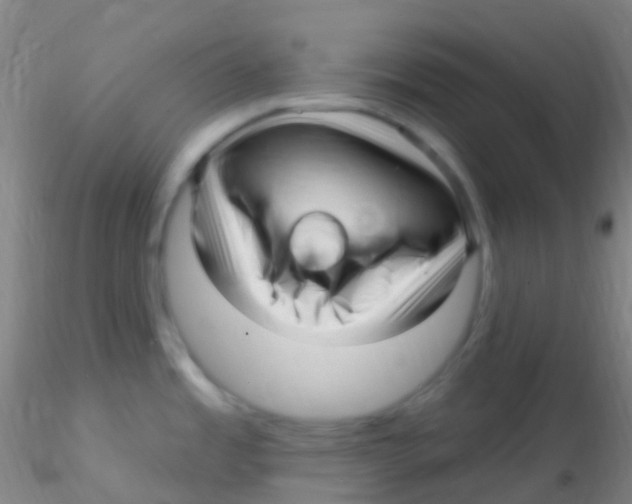 X0000115221485200911251519