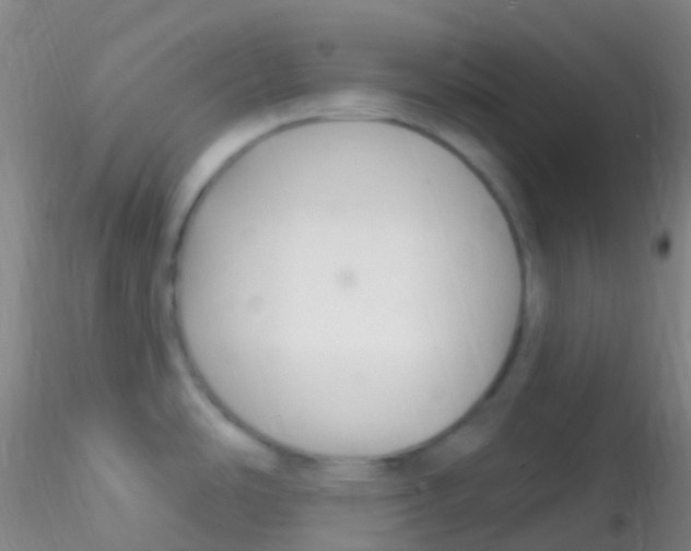 X0000115221486200911251519