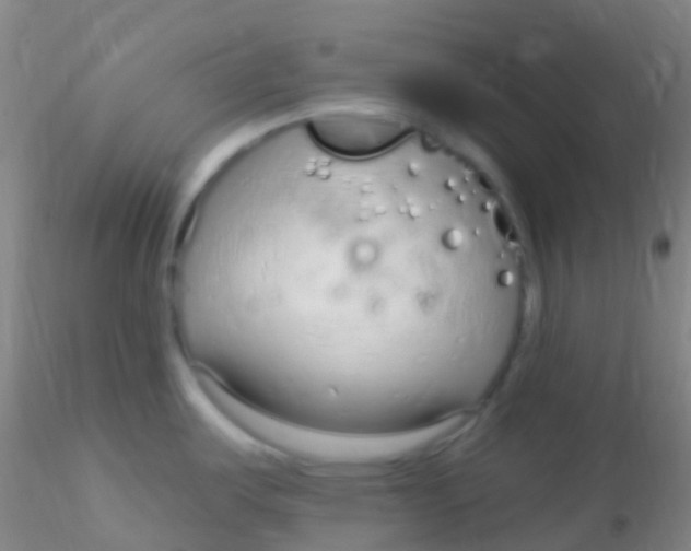 X0000115221487200911251519