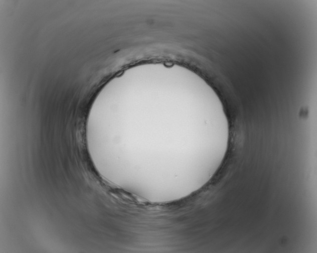 X0000115221490200911251519