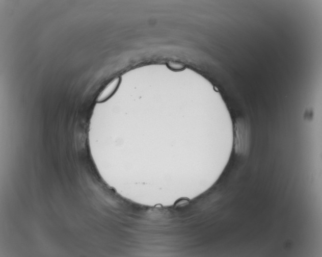 X0000115221491200911251519